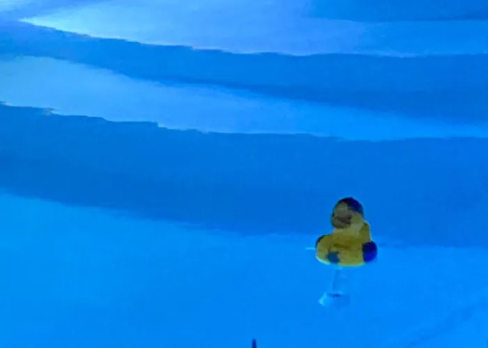 Gaia Naxhom * Agia Anna (Naxos)